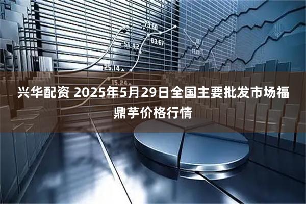 兴华配资 2025年5月29日全国主要批发市场福鼎芋价格行情