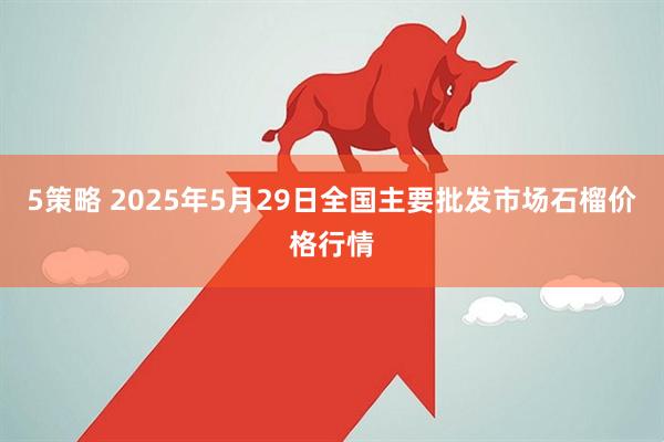 5策略 2025年5月29日全国主要批发市场石榴价格行情