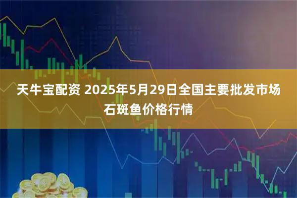 天牛宝配资 2025年5月29日全国主要批发市场石斑鱼价格行情