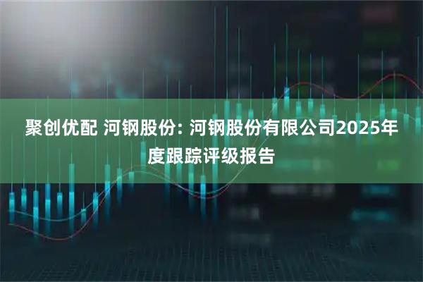 聚创优配 河钢股份: 河钢股份有限公司2025年度跟踪评级报告
