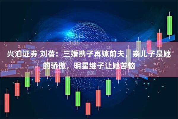 兴泊证券 刘蓓：三婚携子再嫁前夫，亲儿子是她的骄傲，明星继子让她苦恼
