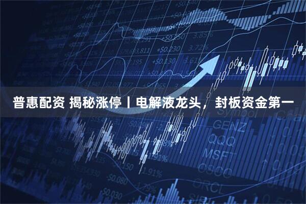 普惠配资 揭秘涨停丨电解液龙头，封板资金第一