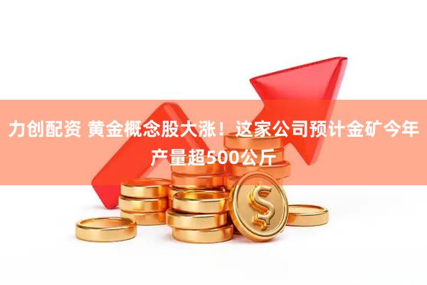 力创配资 黄金概念股大涨！这家公司预计金矿今年产量超500公斤