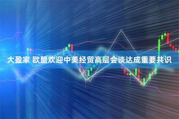 大盈家 欧盟欢迎中美经贸高层会谈达成重要共识