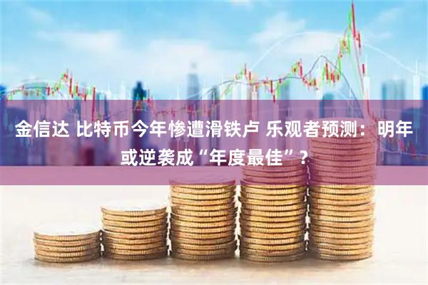金信达 比特币今年惨遭滑铁卢 乐观者预测：明年或逆袭成“年度最佳”？