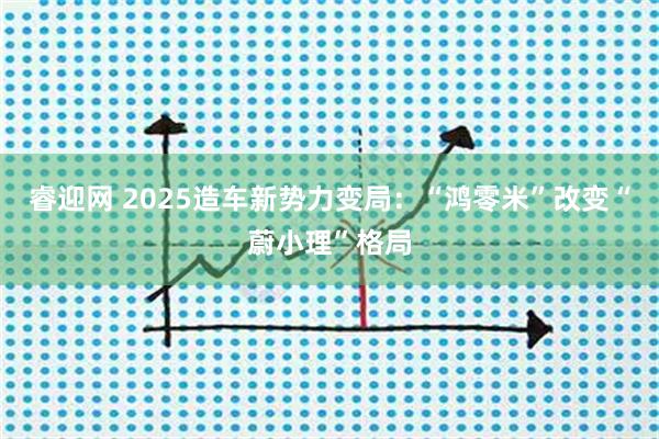 睿迎网 2025造车新势力变局：“鸿零米”改变“蔚小理”格局